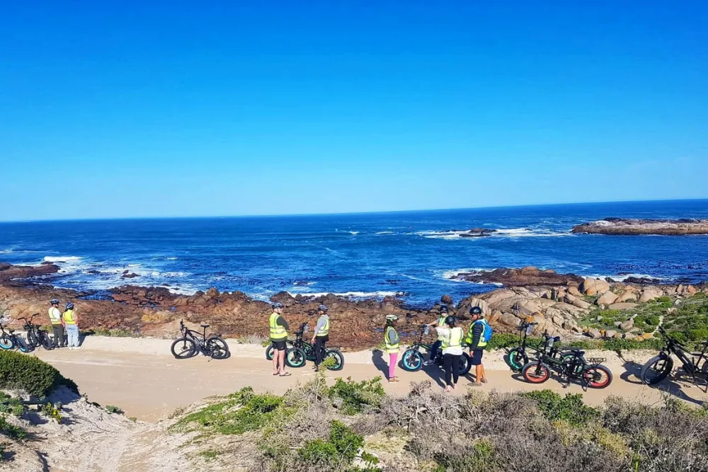 wow e-bikes paternoster